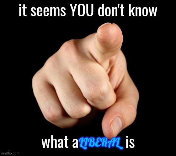That’s him officer | it seems YOU don't know what a             is LIBERAL | image tagged in that s him officer | made w/ Imgflip meme maker