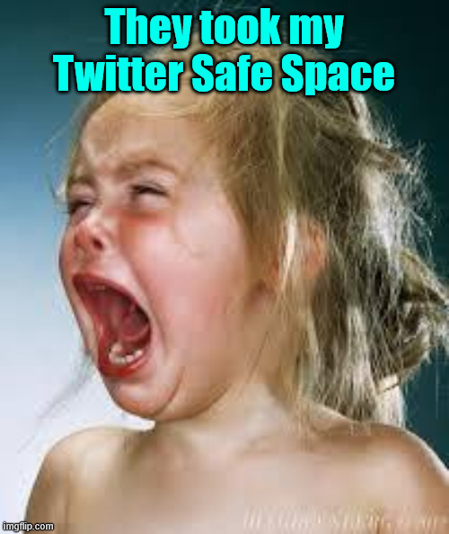 Crying Baby | They took my Twitter Safe Space | image tagged in crying baby | made w/ Imgflip meme maker