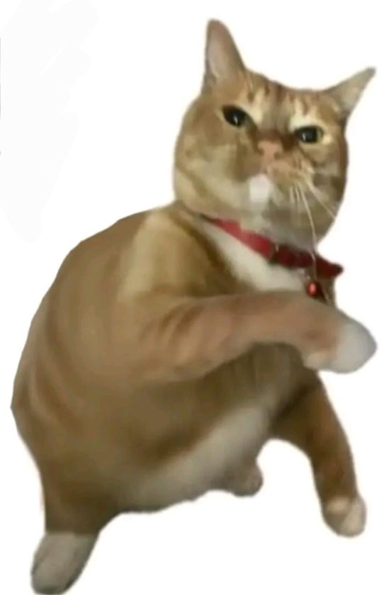 Throwing cat Blank Meme Template