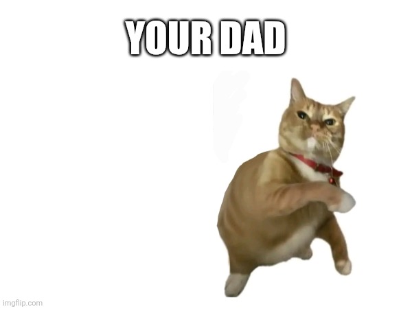 Lol not to be taken seriously tho | YOUR DAD | image tagged in cats | made w/ Imgflip meme maker