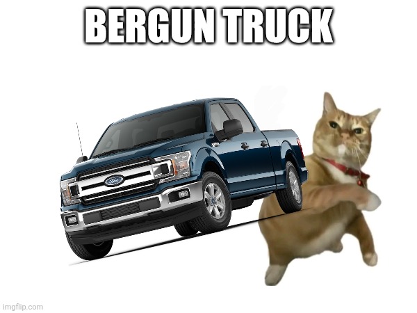 TRUCK  (*dies* -dess) | BERGUN TRUCK | image tagged in sans | made w/ Imgflip meme maker