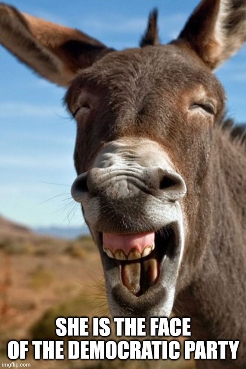 Laughing donkey | SHE IS THE FACE OF THE DEMOCRATIC PARTY | image tagged in laughing donkey | made w/ Imgflip meme maker