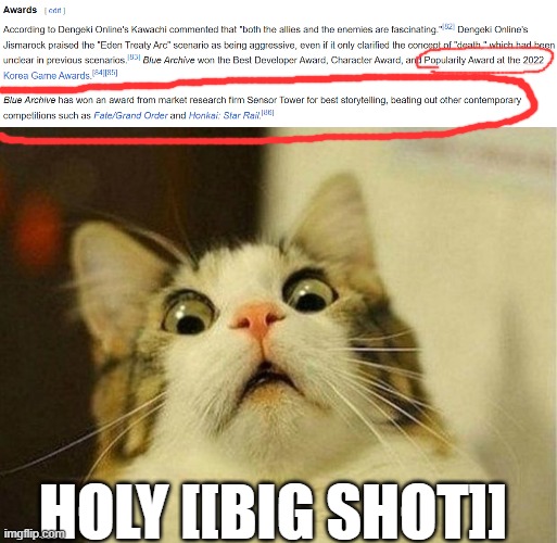 HOLY [[BIG SHOT]]- | HOLY [[BIG SHOT]] | image tagged in memes,scared cat | made w/ Imgflip meme maker