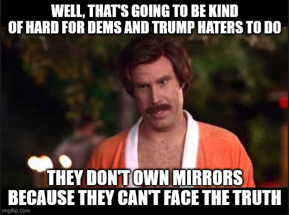 I'M Kind of a Big Deal | WELL, THAT'S GOING TO BE KIND OF HARD FOR DEMS AND TRUMP HATERS TO DO THEY DON'T OWN MIRRORS BECAUSE THEY CAN'T FACE THE TRUTH | image tagged in i'm kind of a big deal | made w/ Imgflip meme maker