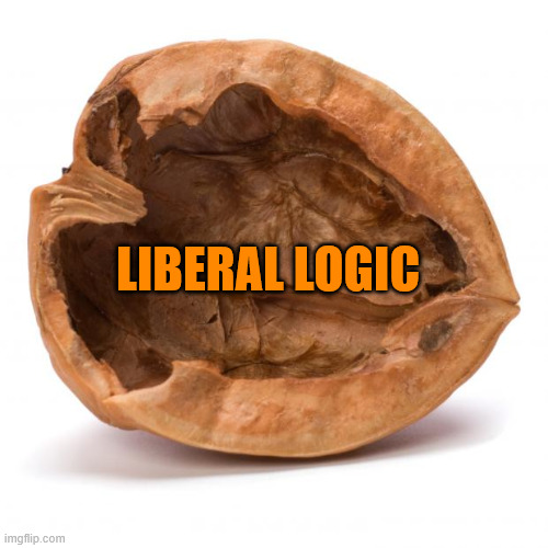 Nutshell | LIBERAL LOGIC | image tagged in nutshell | made w/ Imgflip meme maker