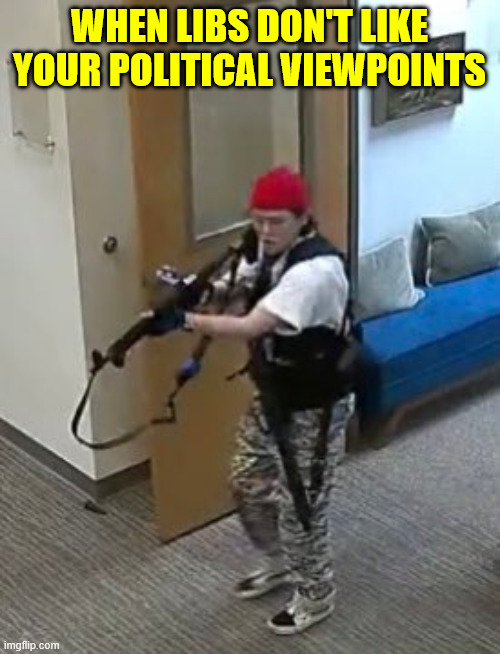 WHEN LIBS DON'T LIKE YOUR POLITICAL VIEWPOINTS | made w/ Imgflip meme maker