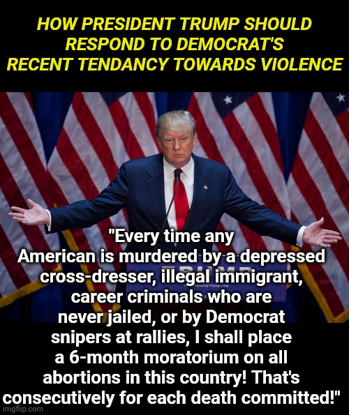 Liberals have gotten out of hand, but threatening their sacred cows should calm them down. | HOW PRESIDENT TRUMP SHOULD RESPOND TO DEMOCRAT'S RECENT TENDANCY TOWARDS VIOLENCE; "Every time any American is murdered by a depressed cross-dresser, illegal immigrant, career criminals who are never jailed, or by Democrat snipers at rallies, I shall place a 6-month moratorium on all abortions in this country! That's consecutively for each death committed!" | image tagged in donald trump,triggered liberal,stupid liberals,fight back,crying democrats,violence is never the answer | made w/ Imgflip meme maker