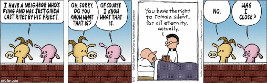 Pearls Before Swine | image tagged in comics | made w/ Imgflip meme maker