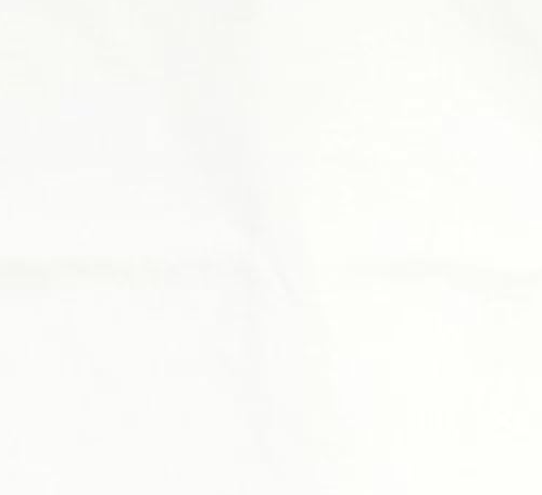 white bg Blank Meme Template