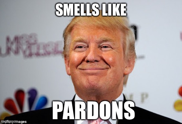 SMELLS LIKE PARDONS | image tagged in donald trump approves | made w/ Imgflip meme maker