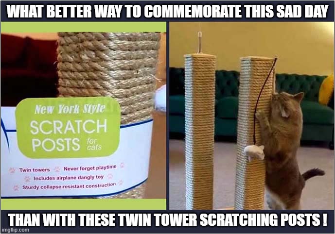 Dignified And Respectful - Not Cringeworthy At All ! | WHAT BETTER WAY TO COMMEMORATE THIS SAD DAY; THAN WITH THESE TWIN TOWER SCRATCHING POSTS ! | image tagged in 9/11,cringeworthy,scratching posts,dark humour | made w/ Imgflip meme maker