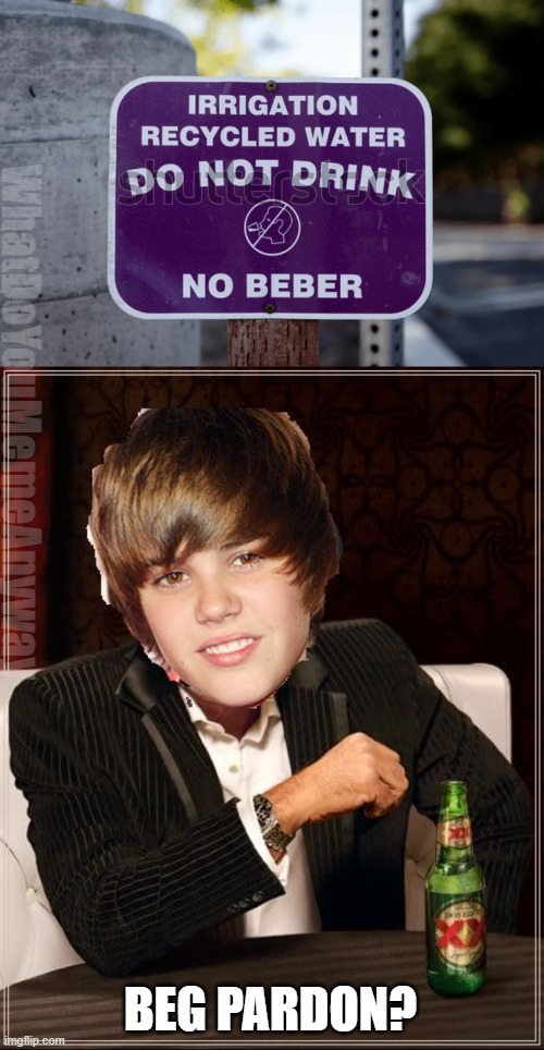 Do not drink -- no, Bieber | WhatDoYouMemeAnyway; BEG PARDON? | image tagged in the most interesting justin bieber | made w/ Imgflip meme maker