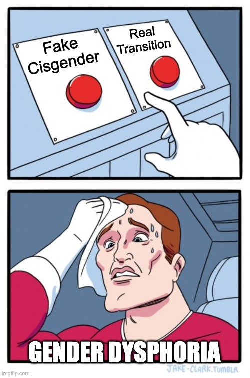 Deciding to transition... | Real
Transition; Fake
Cisgender; GENDER DYSPHORIA | image tagged in memes,two buttons | made w/ Imgflip meme maker