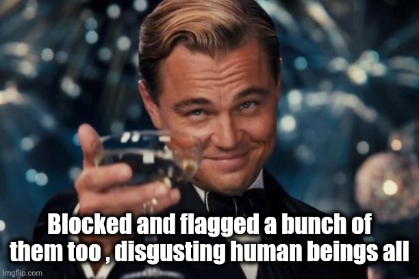 Leonardo Dicaprio Cheers Meme | Blocked and flagged a bunch of them too , disgusting human beings all | image tagged in memes,leonardo dicaprio cheers | made w/ Imgflip meme maker