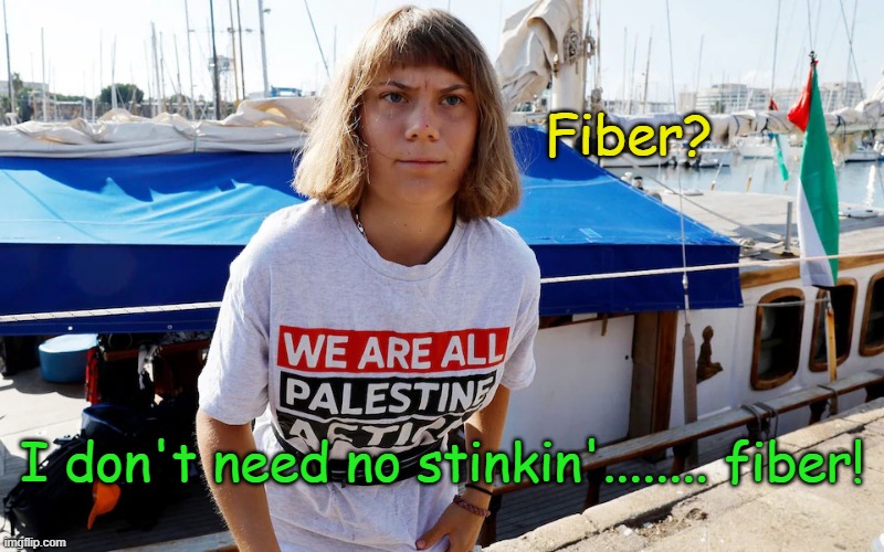 Greta Invents a way to limit CO2 and methane emissions. | Fiber? I don't need no stinkin'........ fiber! | image tagged in greta thunberg with he-man hair | made w/ Imgflip meme maker
