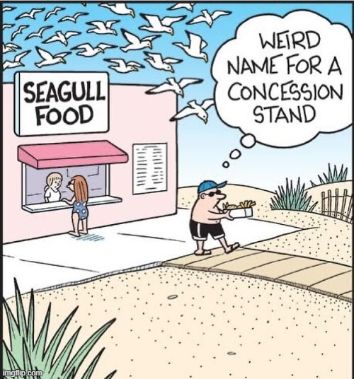Seagull Food | image tagged in comics | made w/ Imgflip meme maker