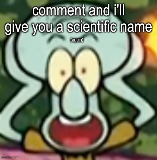 Flabbergasted Squidward | comment and i'll give you a scientific name; (again) | image tagged in flabbergasted squidward | made w/ Imgflip meme maker