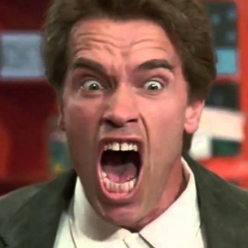 PUT DA TOY BACK TO DA CARPET Blank Meme Template