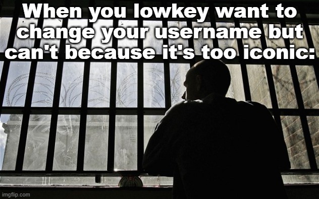 Man In Jail | When you lowkey want to change your username but can't because it's too iconic: | image tagged in man in jail | made w/ Imgflip meme maker