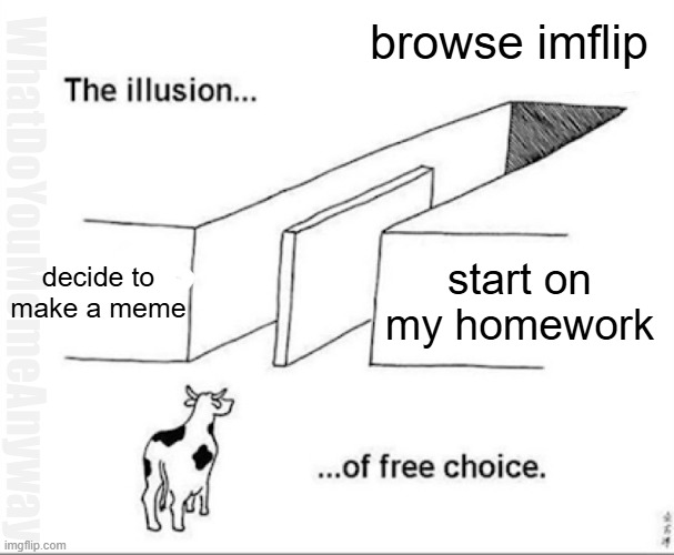 Illusion of free choice | browse imflip; WhatDoYouMemeAnyway; decide to make a meme; start on my homework | image tagged in illusion of free choice | made w/ Imgflip meme maker