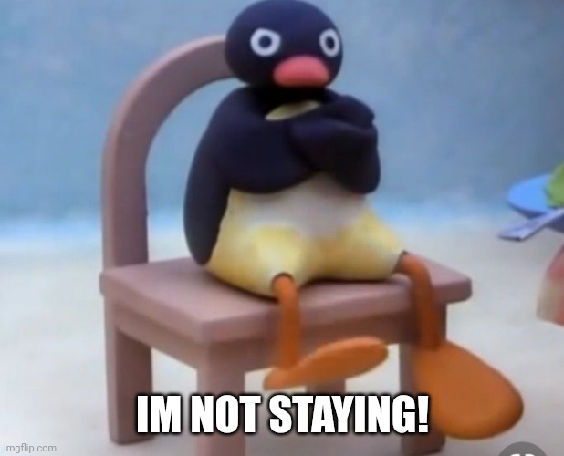 Angry pingu | IM NOT STAYING! | image tagged in angry pingu | made w/ Imgflip meme maker