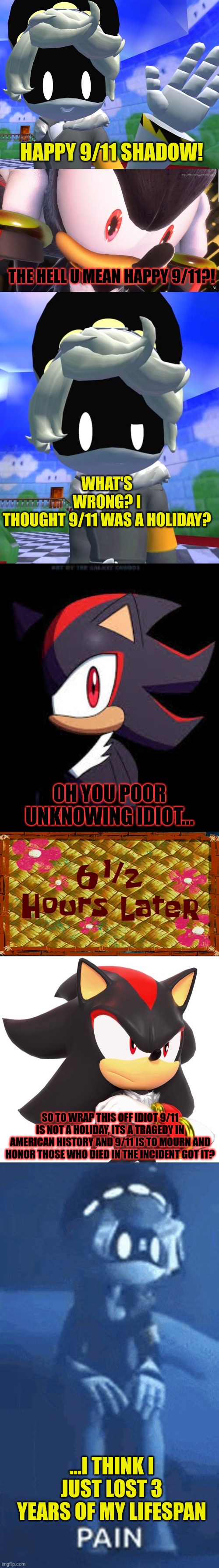 N and Shadow interaction of 9/11/25 | HAPPY 9/11 SHADOW! THE HELL U MEAN HAPPY 9/11?! WHAT'S WRONG? I THOUGHT 9/11 WAS A HOLIDAY? OH YOU POOR UNKNOWING IDIOT... SO TO WRAP THIS OFF IDIOT 9/11 IS NOT A HOLIDAY, ITS A TRAGEDY IN AMERICAN HISTORY AND 9/11 IS TO MOURN AND HONOR THOSE WHO DIED IN THE INCIDENT GOT IT? ...I THINK I JUST LOST 3 YEARS OF MY LIFESPAN | image tagged in murder drones,shadow the hedgehog,9/11 | made w/ Imgflip meme maker