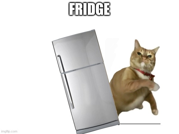 FRIDGE | made w/ Imgflip meme maker