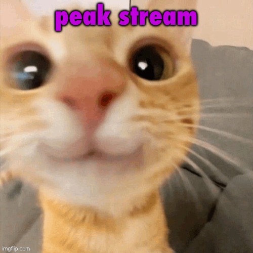 him | peak stream | image tagged in him | made w/ Imgflip meme maker