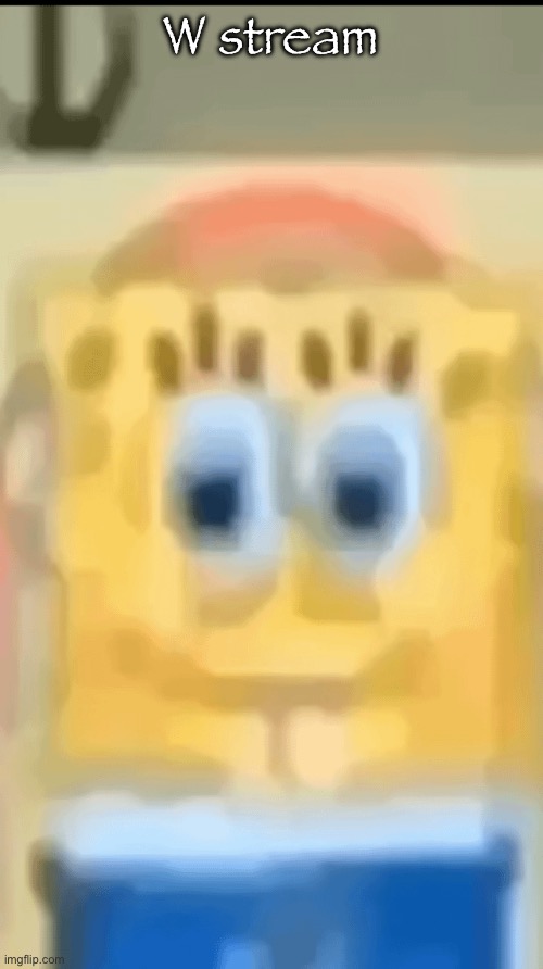 spon | W stream | image tagged in spon | made w/ Imgflip meme maker