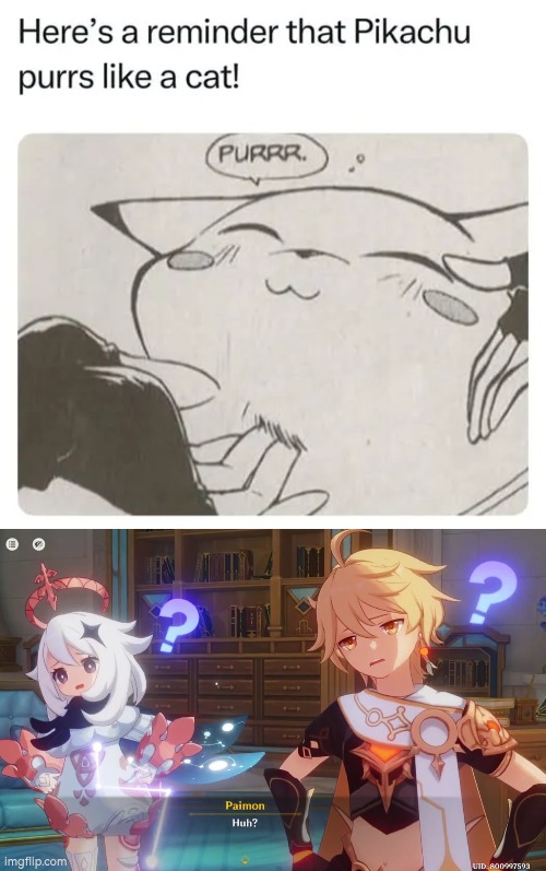 Wait, isn't he supposed to be a mouse? | image tagged in pikachu,cat | made w/ Imgflip meme maker