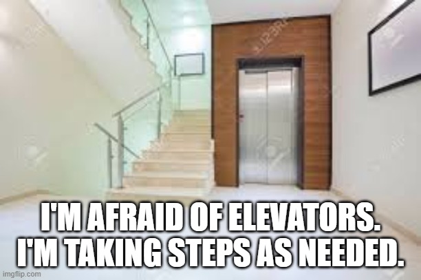 I'm afraid to take the elevator but I'm taking the steps as needed.   --  funny  -- | I'M AFRAID OF ELEVATORS. I'M TAKING STEPS AS NEEDED. | image tagged in funny,elevator,play on words,stairs,phobia,humor | made w/ Imgflip meme maker