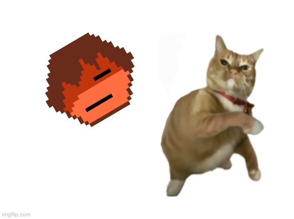 throwing cat new | image tagged in throwing cat new | made w/ Imgflip meme maker