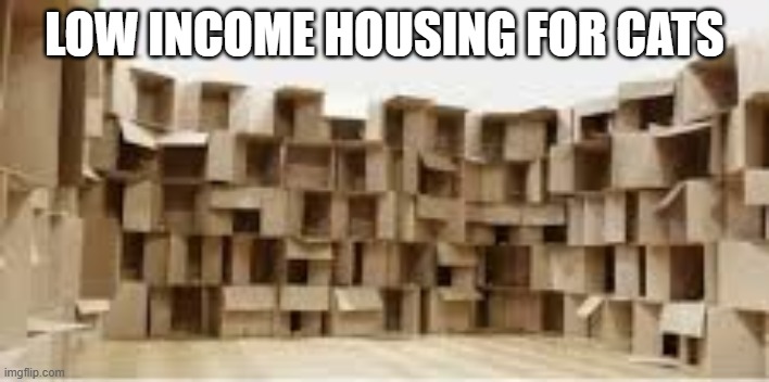This is a picture of low income housing for cats.   - funny - | LOW INCOME HOUSING FOR CATS | image tagged in cats,humor,kittens,funny,boxes,houses | made w/ Imgflip meme maker
