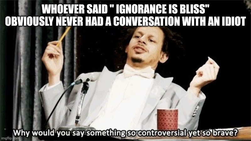 Why would you say something so controversial yet so brave? | WHOEVER SAID " IGNORANCE IS BLISS" OBVIOUSLY NEVER HAD A CONVERSATION WITH AN IDIOT | image tagged in why would you say something so controversial yet so brave | made w/ Imgflip meme maker