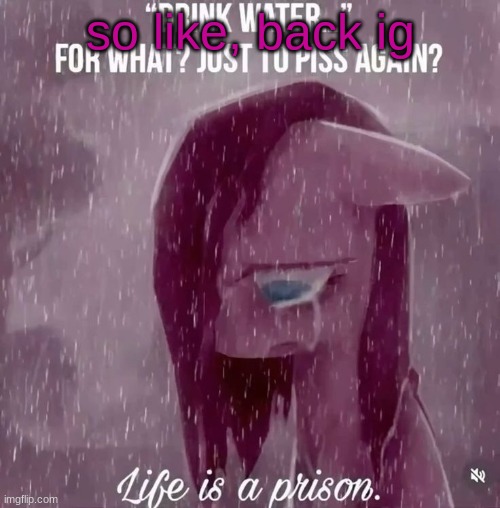 drink water... for what? just to piss again? life is a prison | so like, back ig | image tagged in drink water for what just to piss again life is a prison | made w/ Imgflip meme maker