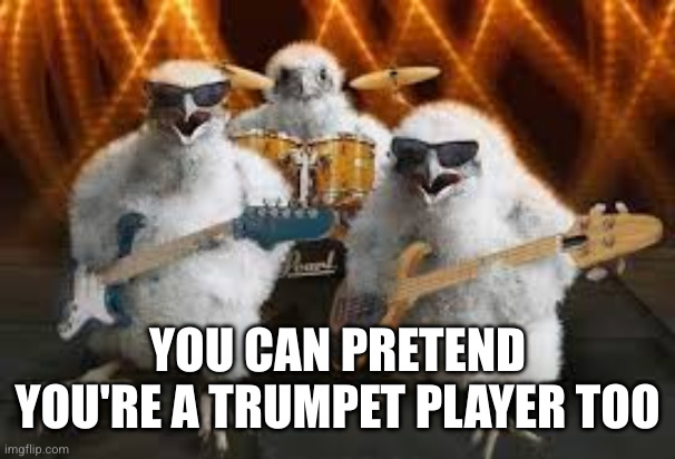 YOU CAN PRETEND YOU'RE A TRUMPET PLAYER TOO | image tagged in chicken musicians | made w/ Imgflip meme maker