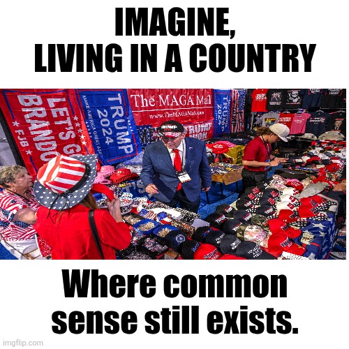 Blank Transparent Square Meme | IMAGINE,
 LIVING IN A COUNTRY Where common sense still exists. | image tagged in memes,blank transparent square | made w/ Imgflip meme maker