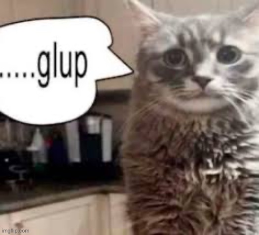 Gulp Cat | image tagged in gulp cat | made w/ Imgflip meme maker