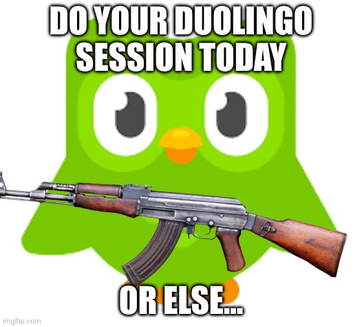 Doulingo | DO YOUR DUOLINGO SESSION TODAY; OR ELSE… | image tagged in doulingo | made w/ Imgflip meme maker