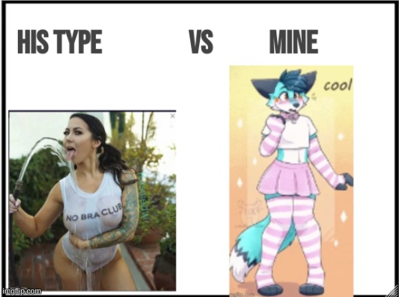 my type | image tagged in furry | made w/ Imgflip meme maker