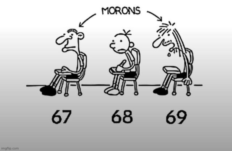morons | image tagged in 67,68,69 | made w/ Imgflip meme maker