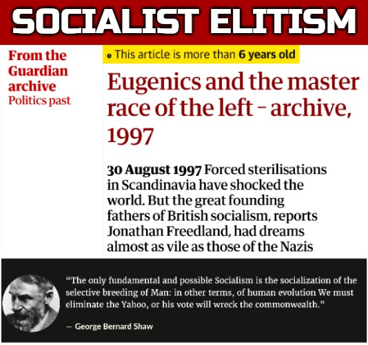 In 90s Denmark, our Government injected Greenlanders with vaccines containing a secret. They're still not happy about that | SOCIALIST ELITISM | image tagged in socialism,politics | made w/ Imgflip meme maker