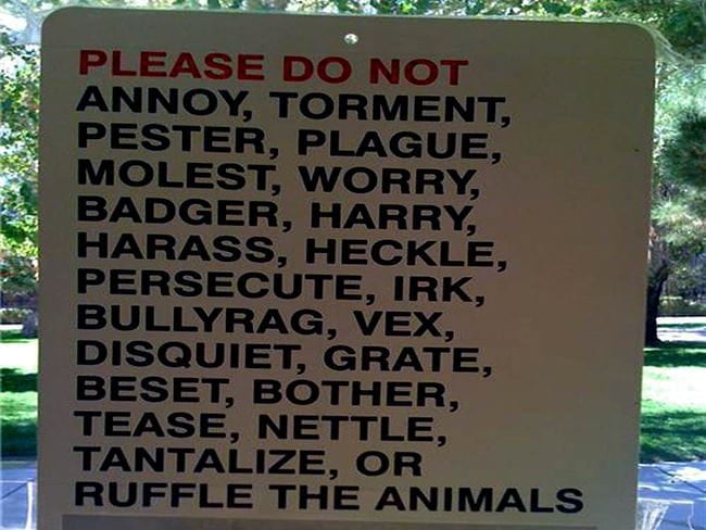Thesaurus' Zoo. Blank Meme Template