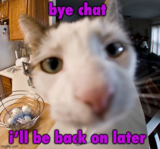 he | bye chat; i’ll be back on later | image tagged in he | made w/ Imgflip meme maker