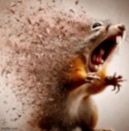 AAAAAAAAAAAAAAAA | image tagged in gifs,screaming,reaction | made w/ Imgflip images-to-gif maker