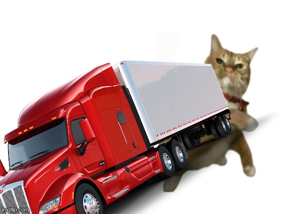 TRUCK | image tagged in throwing cat new | made w/ Imgflip meme maker
