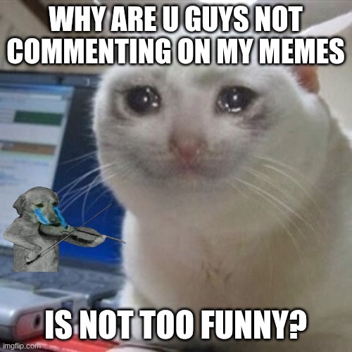 Crying cat | WHY ARE U GUYS NOT COMMENTING ON MY MEMES; IS NOT TOO FUNNY? | image tagged in crying cat | made w/ Imgflip meme maker