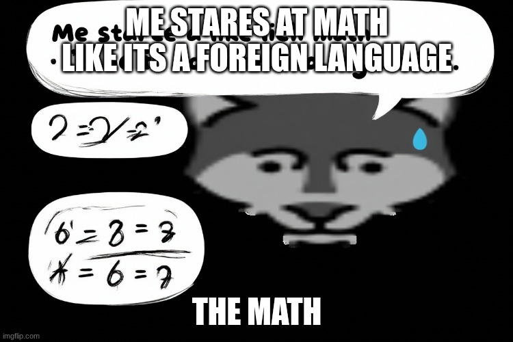 MATH IS NOT MATHIN | ME STARES AT MATH LIKE ITS A FOREIGN LANGUAGE; THE MATH | image tagged in math,animals | made w/ Imgflip meme maker