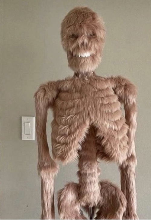 Fuzzy Skeleton | image tagged in funny,cursed images,skeleton,creepy,dafuq,nope | made w/ Imgflip meme maker