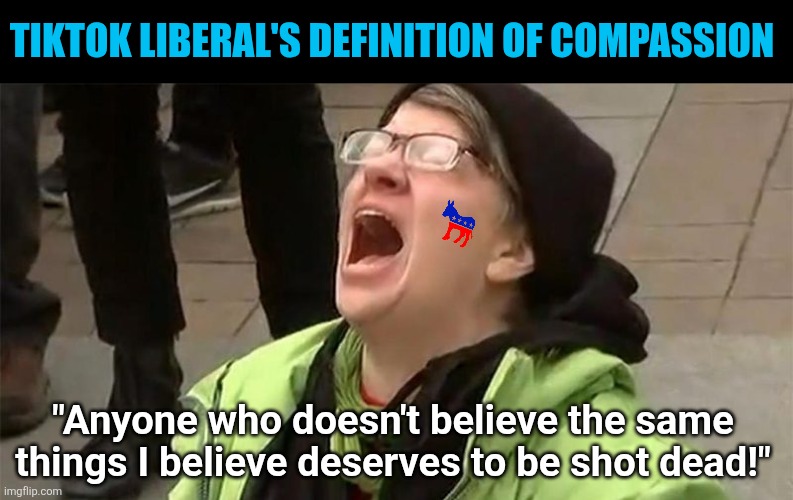 Since Charlie Kirk's death, TikTok liberal's definition of "compassion" sounds the same as the KKK's definition. | TIKTOK LIBERAL'S DEFINITION OF COMPASSION; "Anyone who doesn't believe the same things I believe deserves to be shot dead!" | image tagged in crying liberal,compassion,haters,assasins,liberal logic,liberal hypocrisy | made w/ Imgflip meme maker